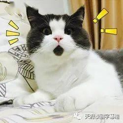 狍子先生爆料视频播放全集,背后惊人真相大曝光  第2张